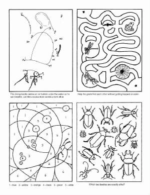 Free Download Crossword on Insect Activity Pages For Pre K  Dot To Dots  Mazes  Etc